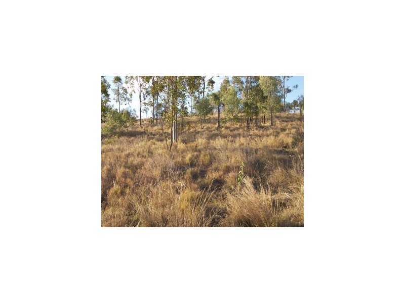 132 Merton Close, Kooralbyn QLD 4285