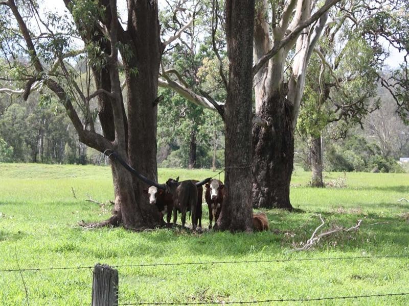 Mundoolun QLD 4285