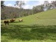Mundoolun QLD 4285