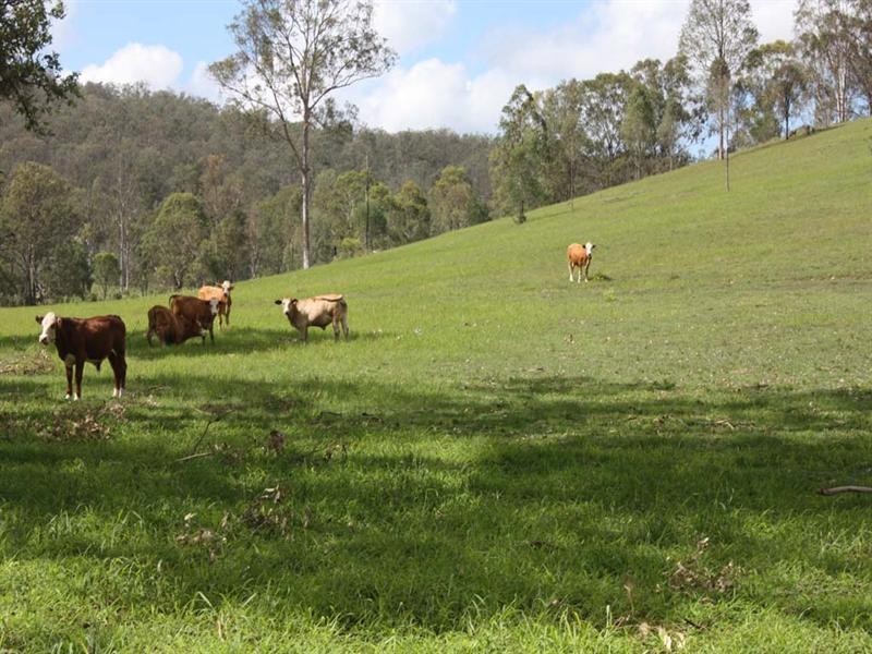 Mundoolun QLD 4285