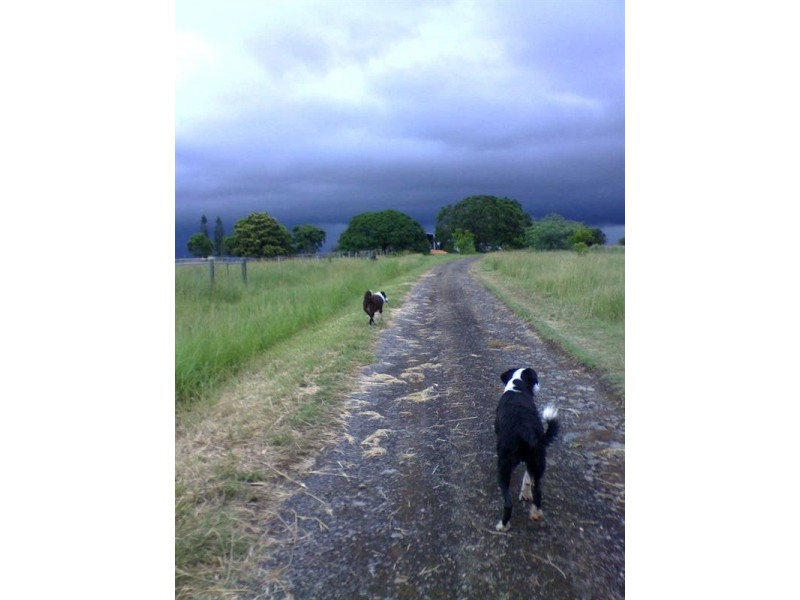 Beaudesert QLD 4285