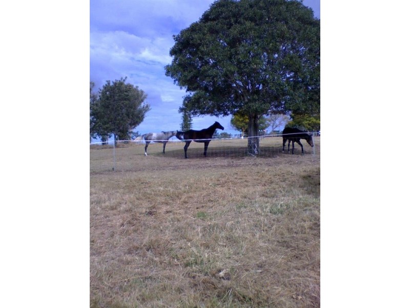 Beaudesert QLD 4285