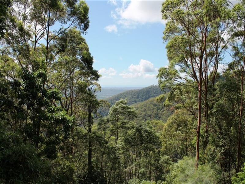 56 Justin Avenue, North Tamborine QLD 4272