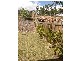 88 Meridian Way, Beaudesert QLD 4285