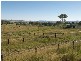 Beaudesert QLD 4285