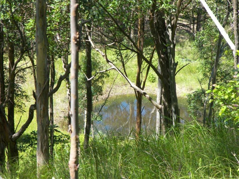 222 Yorston Rd Rathdowney, Beaudesert QLD 4285