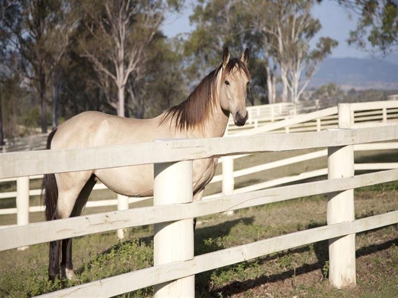 Lot 3 Round Mountain Road, Beaudesert QLD 4285