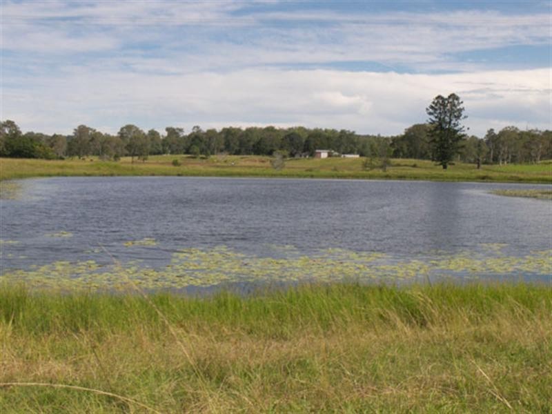 96 Cedar Vale Road, Cedar Vale QLD 4285