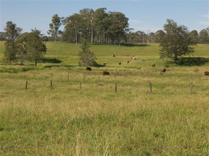 96 Cedar Vale Road, Cedar Vale QLD 4285