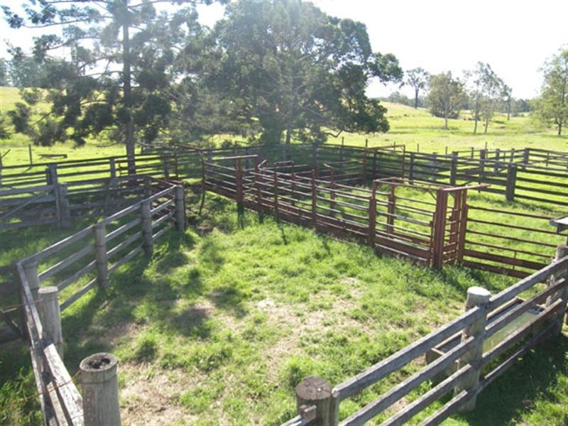 96 Cedar Vale Road, Cedar Vale QLD 4285