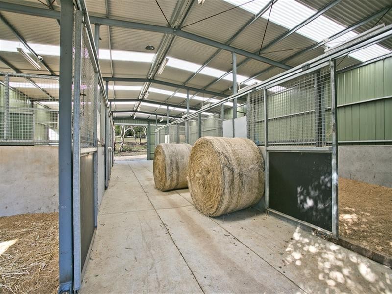 536 Grenfell Road, Fairview Park SA 5126