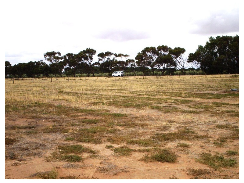 Lot 702 Fertile Avenue, Two Wells SA 5501
