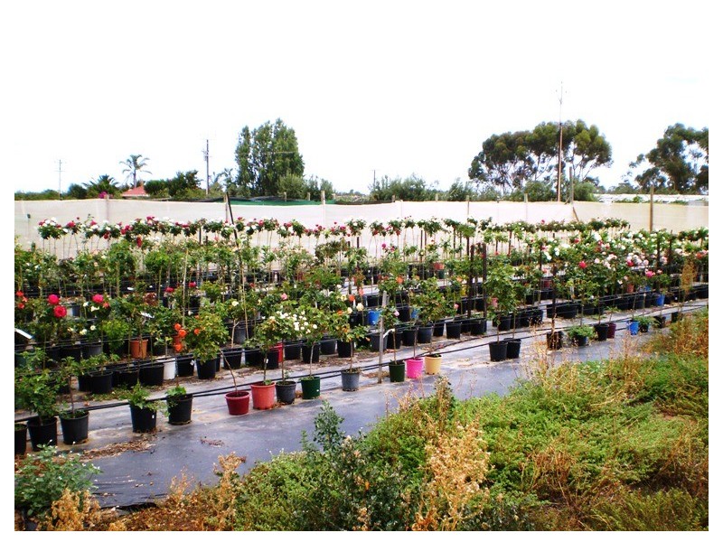 Lot 702 Fertile Avenue, Two Wells SA 5501