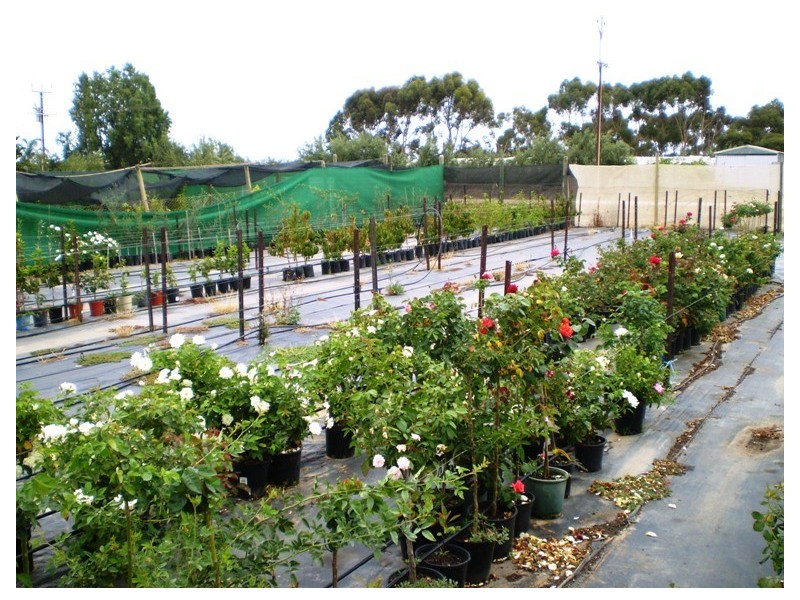 Lot 702 Fertile Avenue, Two Wells SA 5501