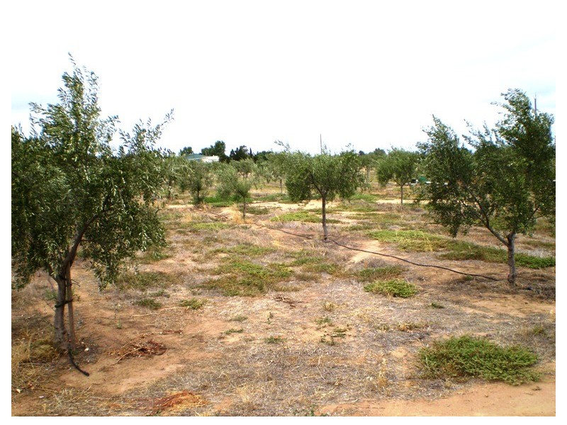 Lot 703 Bailey Road West, Two Wells SA 5501