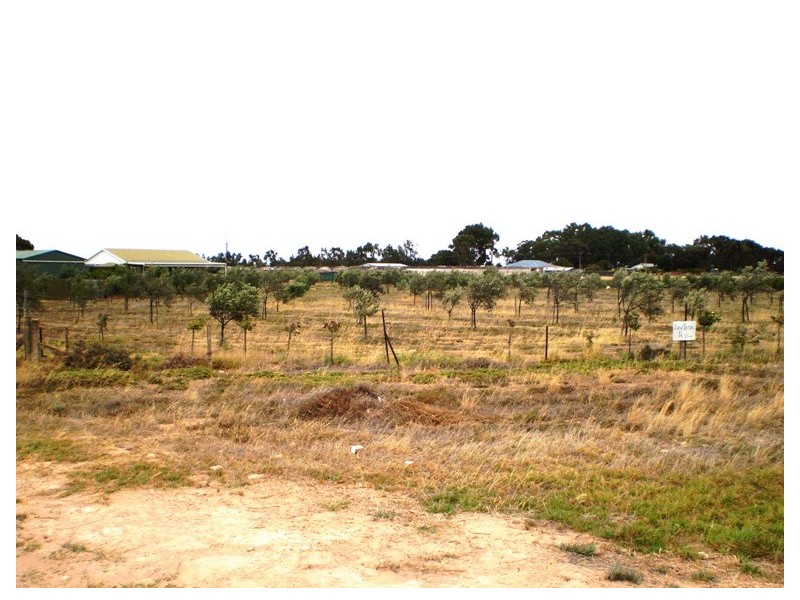 Lot 703 Bailey Road West, Two Wells SA 5501