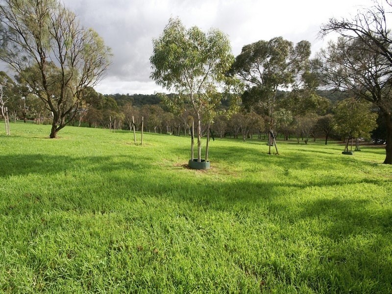 310 Lower Athelstone Road, Athelstone SA 5076