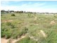 Lot 556 James Place, North Moonta SA 5558