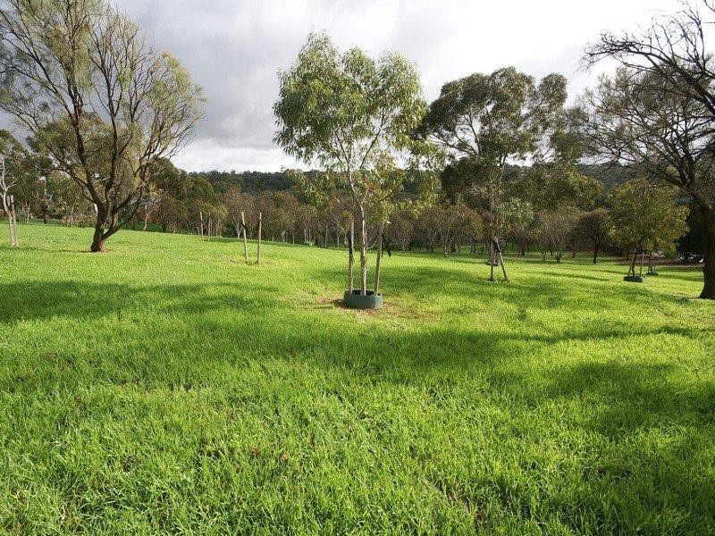 310 Lower Athelstone Road, Athelstone SA 5076