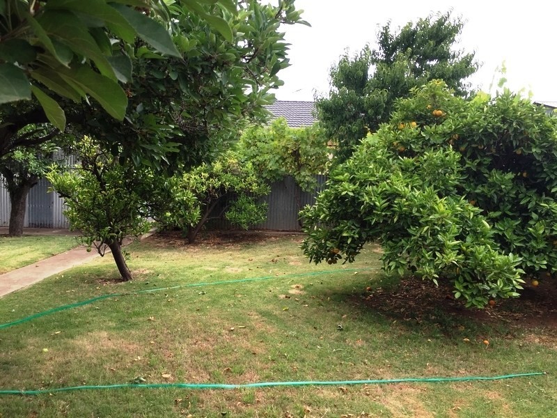 34 Ormond Avenue, Clearview SA 5085