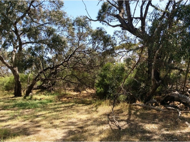 38 B Warwick Street, Enfield SA 5085