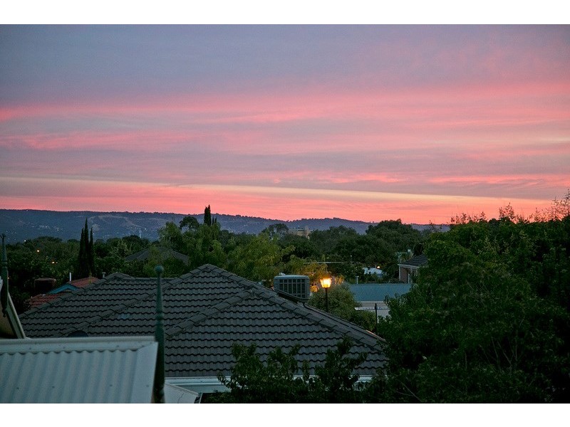 17 Mottistone Court, Oakden SA 5086