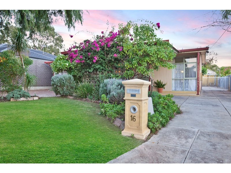 16 Smith Street, Newton SA 5074