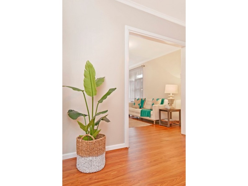 5 Araluen Street, Ridgehaven SA 5097