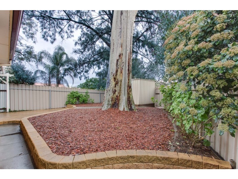 8/11 Gwynne Street, Firle SA 5070