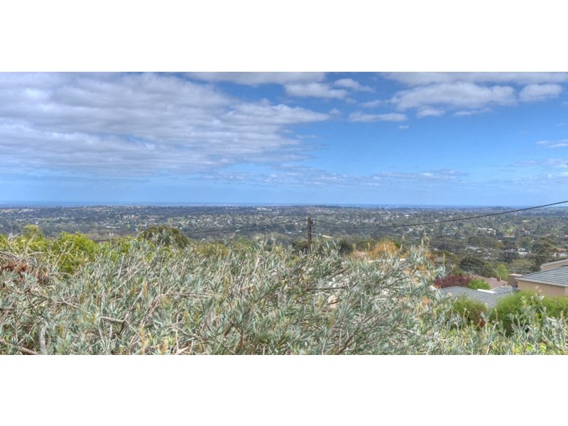 56 Wattle Crescent, Tea Tree Gully SA 5091