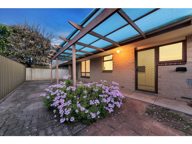 3/3 Julia Court, Collinswood SA 5081