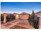 15A Tennyson Street, Clearview SA 5085