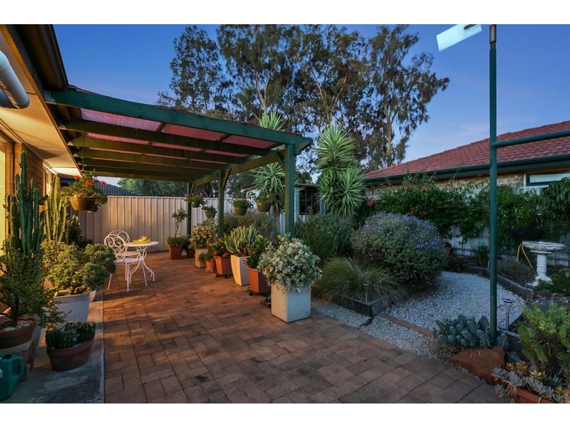 8 Wilkinson Court, Enfield SA 5085