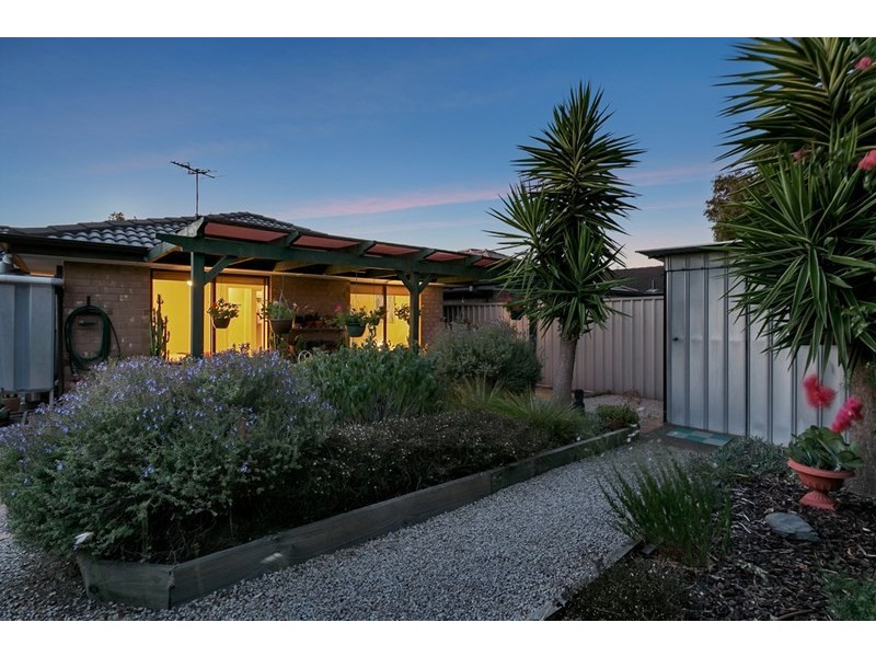 8 Wilkinson Court, Enfield SA 5085
