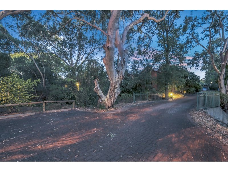 14/1200 North East Road, St Agnes SA 5097