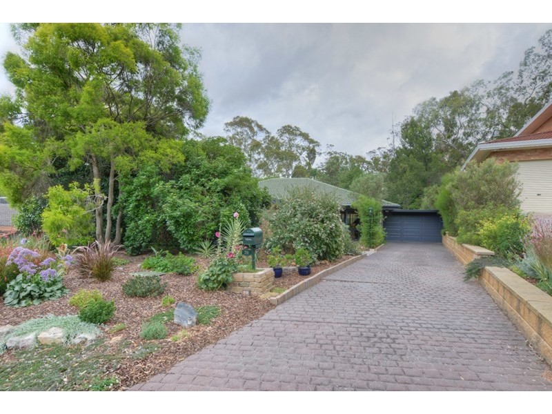 29 Fernilee Avenue, Tea Tree Gully SA 5091