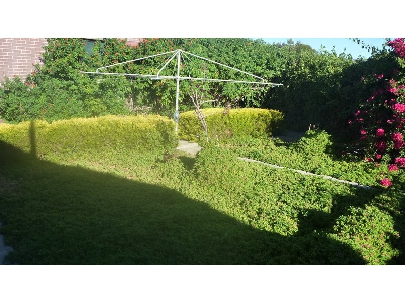 8 Denmead Avenue, Campbelltown SA 5074