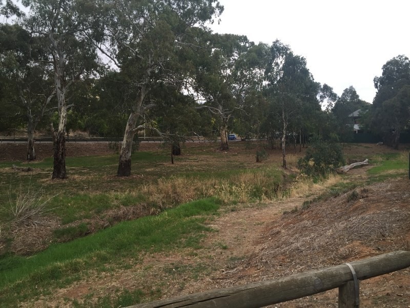 10 Phyllis Court, Wynn Vale SA 5127