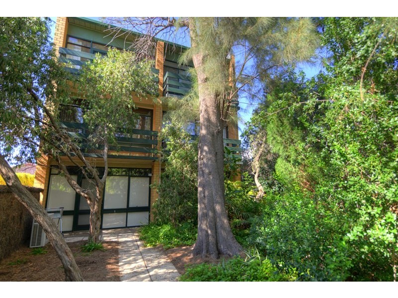 5/99 Buxton Street, North Adelaide SA 5006
