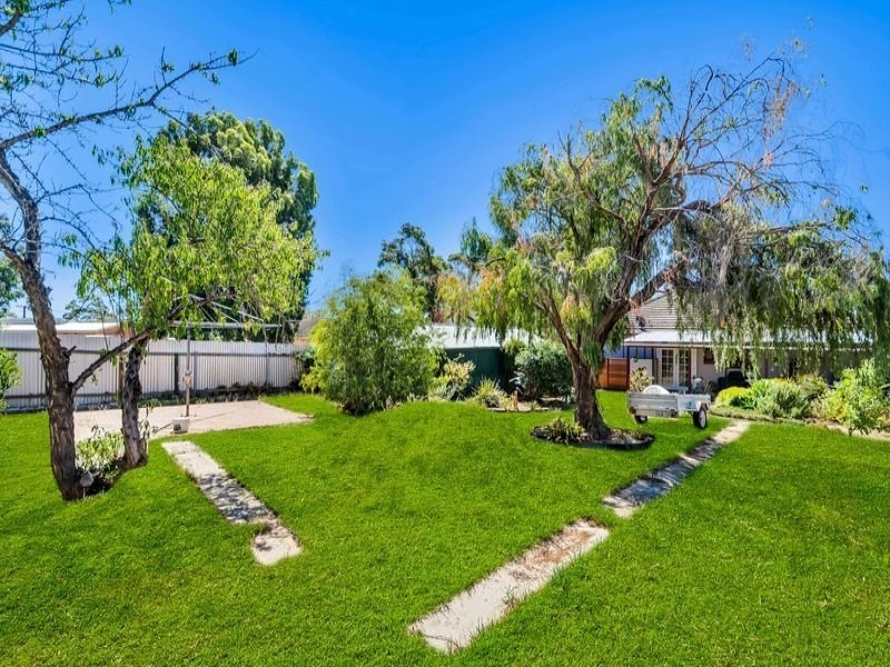 3 Taunton Avenue, Enfield SA 5085