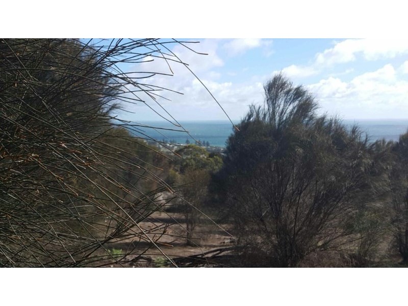 2 x Alltoments Dolphin Way and Fernande Court, Penneshaw SA 5222