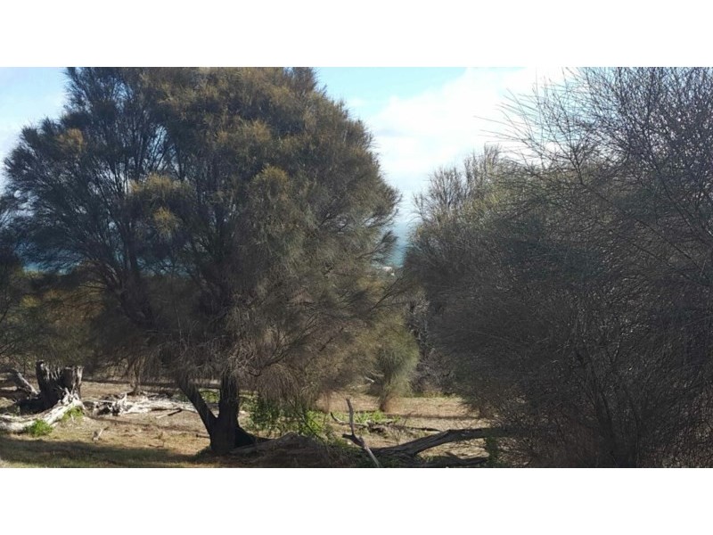 2 x Alltoments Dolphin Way and Fernande Court, Penneshaw SA 5222