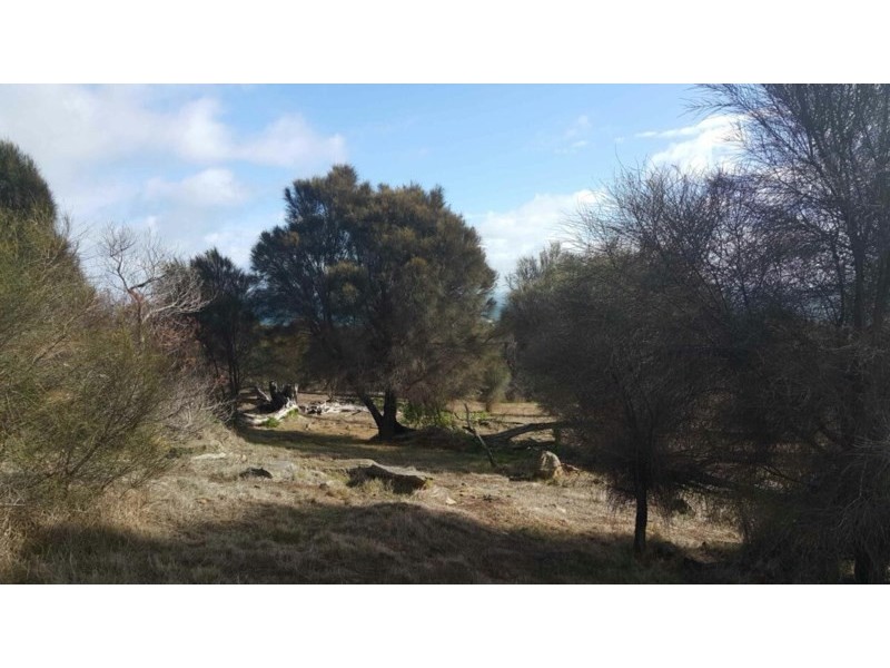 2 x Alltoments Dolphin Way and Fernande Court, Penneshaw SA 5222