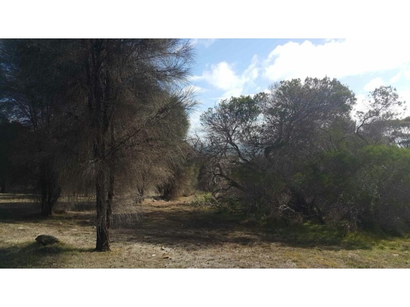 2 x Alltoments Dolphin Way and Fernande Court, Penneshaw SA 5222