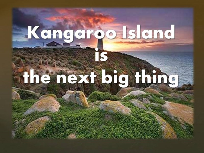 2 x Alltoments Dolphin Way and Fernande Court, Penneshaw SA 5222