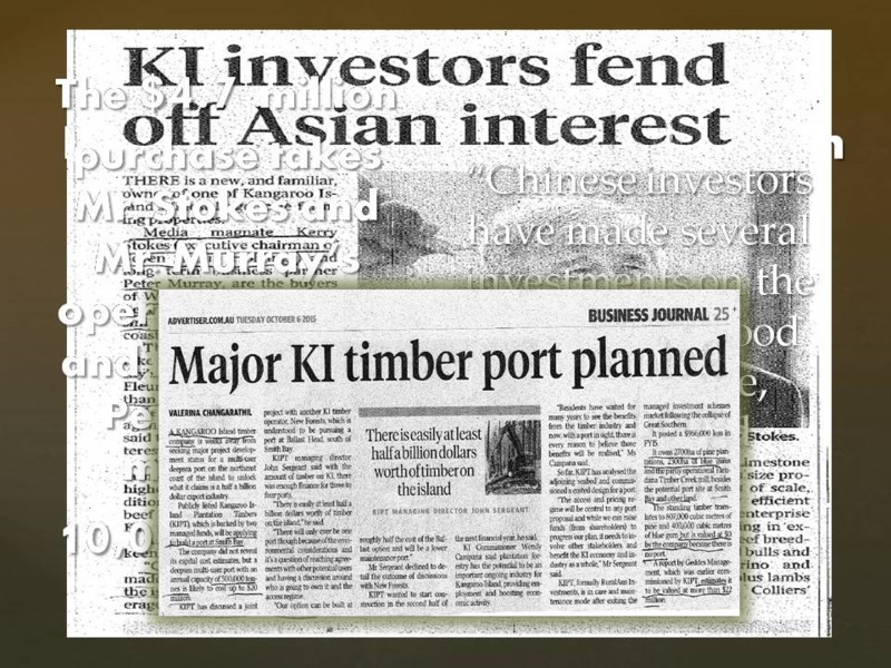 2 x Alltoments Dolphin Way and Fernande Court, Penneshaw SA 5222