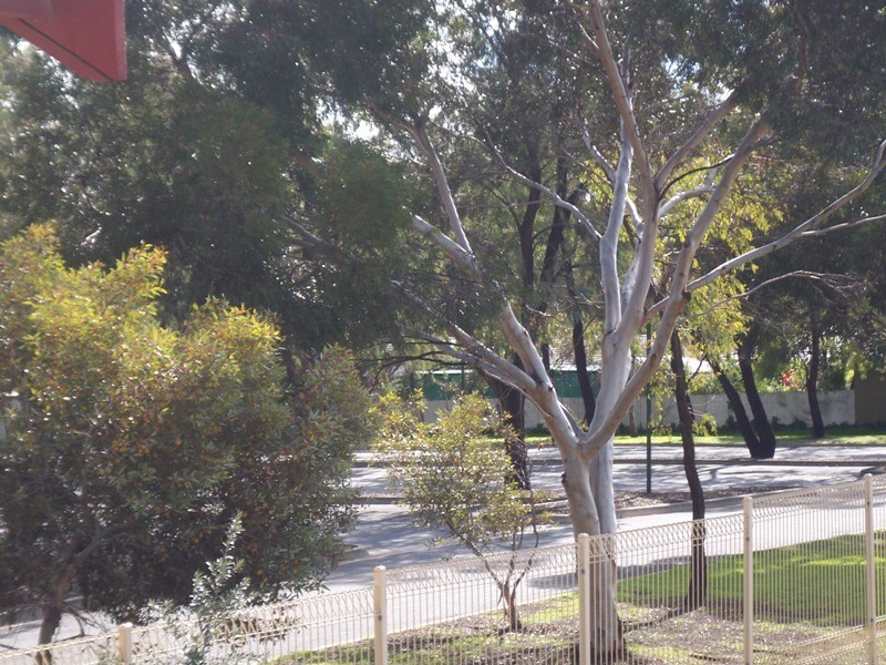 Unit 3/24 Grove Street, Modbury SA 5092