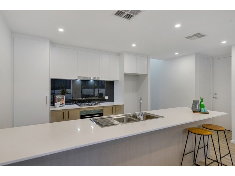 17 Parkwood Avenue, Paradise SA 5075