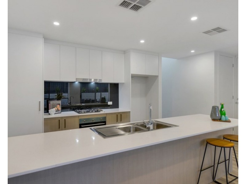 17 Parkwood Avenue, Paradise SA 5075