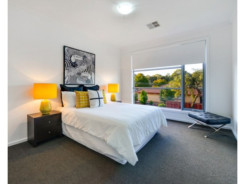 17 Parkwood Avenue, Paradise SA 5075